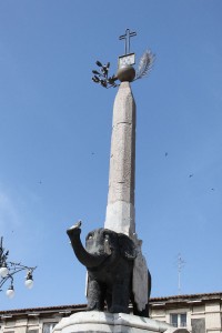 Słoń Liotro